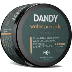 100ml DANDY Water Pomade