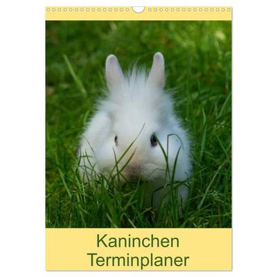 Kaninchen Terminplaner (Wandkalender 2027 DIN A3 hoch), CALVENDO Monatskalender