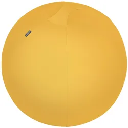 Leitz, Gymnastikball, (65 cm)