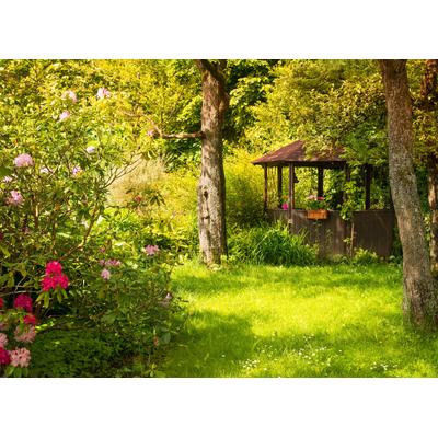 Fototapete PAPERMOON "Magic Garden", bunt, B:2m L:1,49m, Vlies, Tapeten