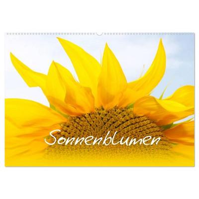 Sonnenblumen - die Blumen der Lebensfreude (Wandkalender 2026 DIN A2 quer), CALVENDO Monatskalender