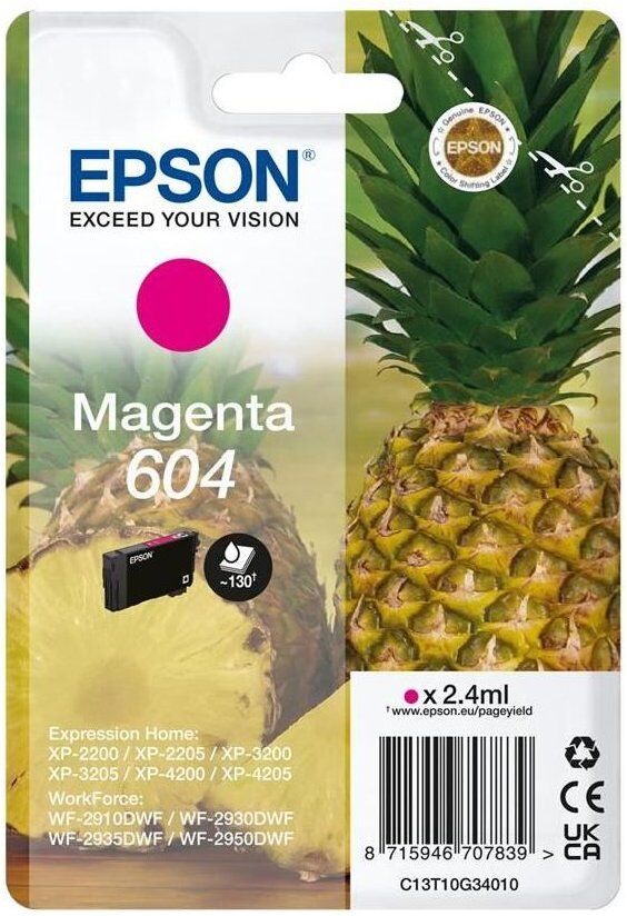 Cartuccia stampante Epson C13T10G34020 604
