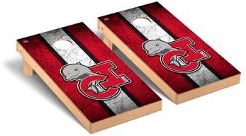 Skip's Garage Cal State Channel Islands Dolphins Vintage Cornhole Board Set