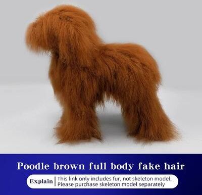 Uplift Picks Professional Pet Grooming Practice Dog Model Full Body Poodle Training Mannequin brown