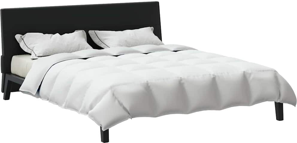 vidaXL Couette d'été 200 x 200 cm Été Plume Blanc Respirant