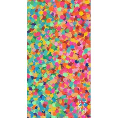 Confetti Pop 2-Year 2027-28 3.5 X 6.5 Monthly Pocket Planner