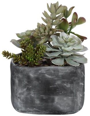 Uttermost Alverio Desert Garden Succulents