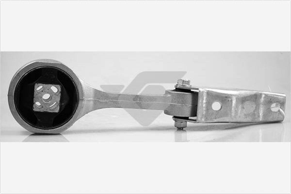 Hutchinson Cuscinetti, motore 594402