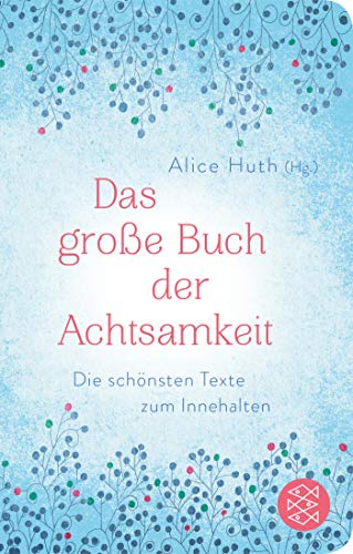 Alice Huth - Das große Buch der Achtsamkeit - Die schönsten Texte zum Innehalten (Fischer Taschenbibliothek) - Preis vom 11.10.2026 03:10:56 h