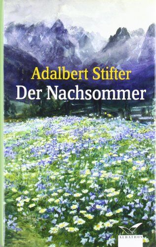 Adalbert Stifter - Der Nachsommer - Preis vom 13.10.2026 11:25:28 h