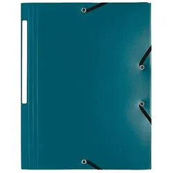 Exacompta, Mappe, Uni Mappe (A4, 1x)