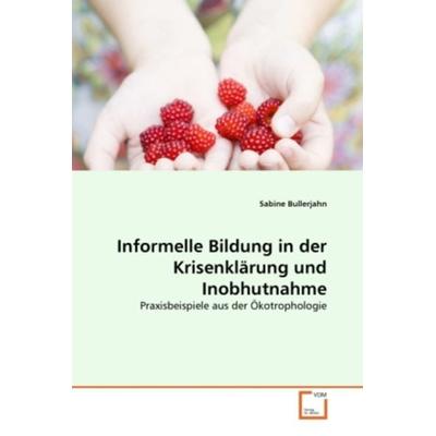Bullerjahn, S: Informelle Bildung in der Krisenklärung und I, Taschenbuch von Sabine Bullerjahn, VDM, 978-3-639-31347-5