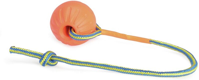Camon Gioco Cane Pal Eva 90mm Ara