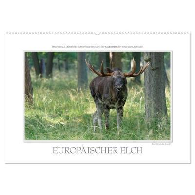 Emotionale Momente: Europäischer Elch. (Wandkalender 2027 DIN A2 quer), CALVENDO Monatskalender