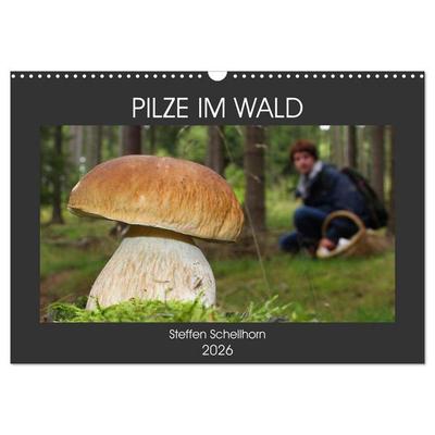 PILZE IM WALD (Wandkalender 2026 DIN A3 quer), CALVENDO Monatskalender