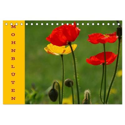 MOHNBLÜTEN (Tischkalender 2027 DIN A5 quer), CALVENDO Monatskalender
