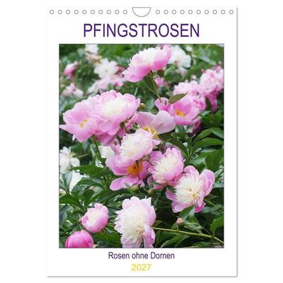 Pfingstrosen Rosen ohne Dornen (Wandkalender 2027 DIN A4 hoch), CALVENDO Monatskalender