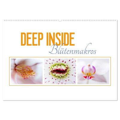 DEEP INSIDE - Blütenmakros (Wandkalender 2027 DIN A2 quer), CALVENDO Monatskalender