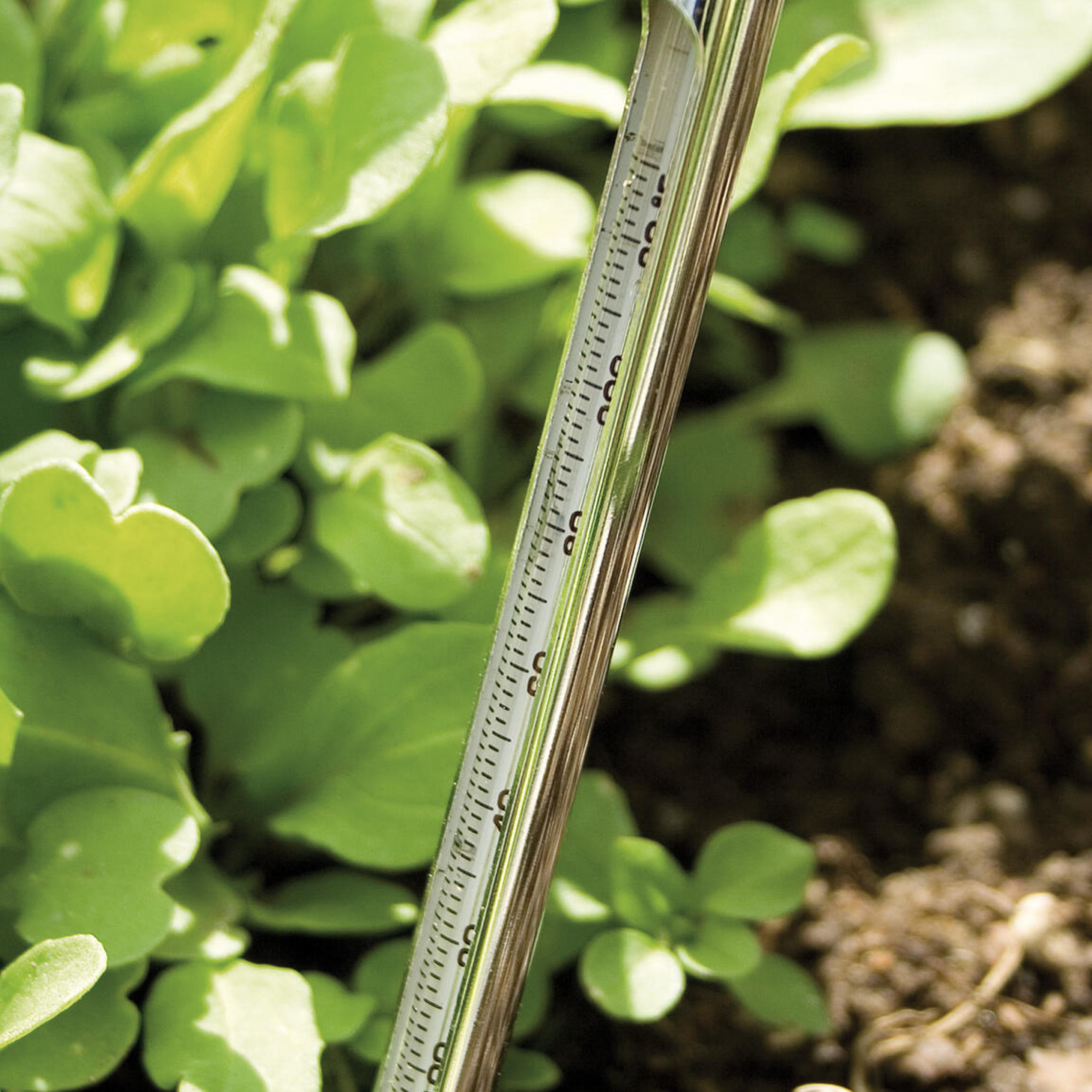 Nelson Garden Jordtermometer