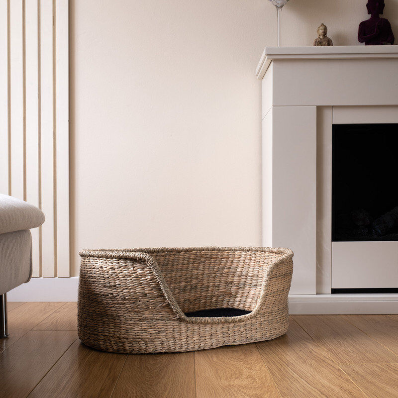Archie & Oscar Oval Pet Bed Beige 28cm H x 76cm W x 50cm D