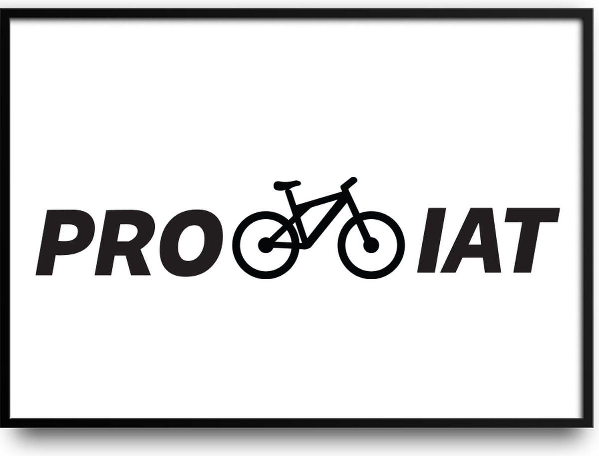 Profietsiat fotolijst met glas en ophangsysteem voor een grappige poster met fiets- en wielerprint