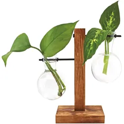 Winkee Hydro Vase Fleur
