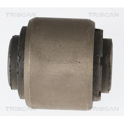 TRISCAN Lagerung, Lenker 8500298101 für CUPRA
