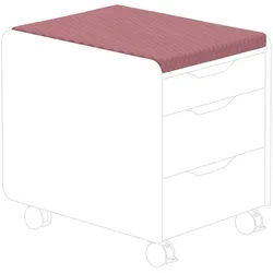 Sitzpolster PAIDI TEENIO (BHT 40,90x3x54,50 cm) - BHT 40,90x3x54,50 cm