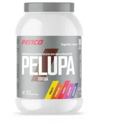 Penco Pelupa glutenfreier Brei 1500 g Honig