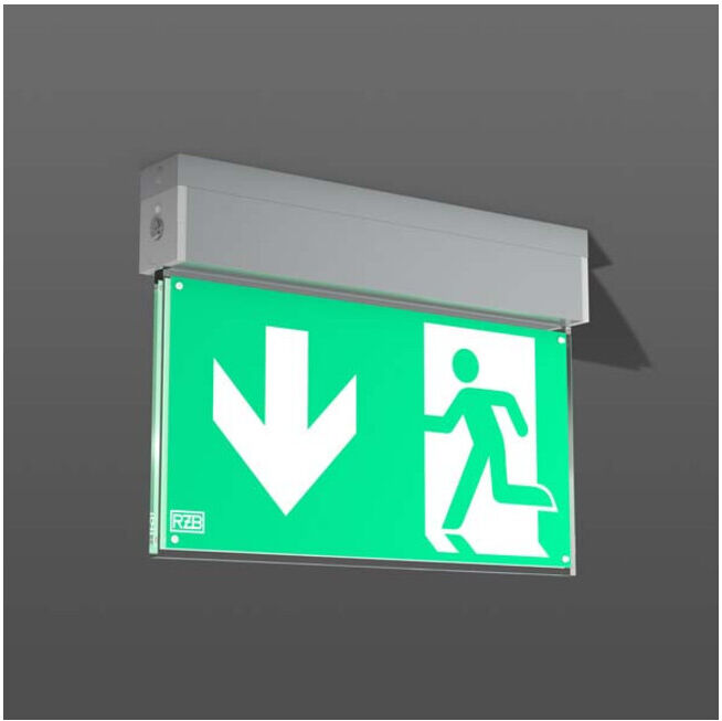 RZB LED lampe de secours 671985.004.2 (671985.004.2)