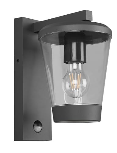 Trio Leuchten Cavado Buitenwandlamp met Bewegingssensor, Aluminium, Grijs/Zwart/Transparant, IP44