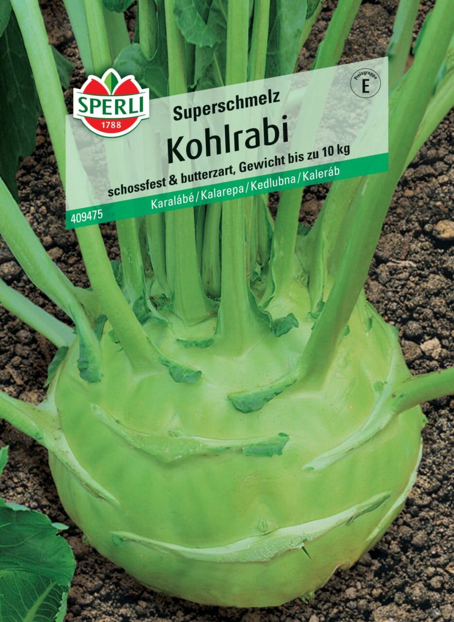 Sperli Kohlrabi Superschmelz