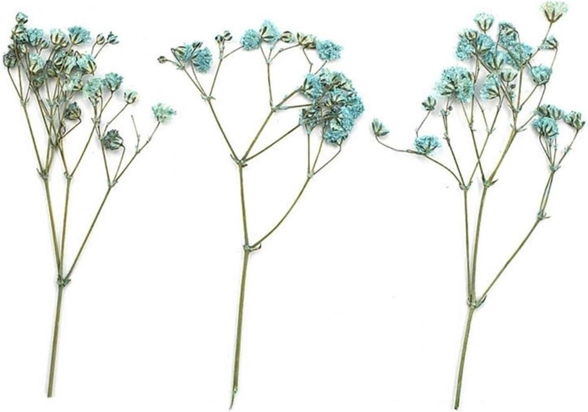 Gedroogde Bloemen Blauw - 12 Stuks - Natuurlijke Decoratie