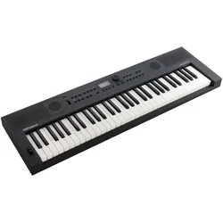 Roland GO:KEYS 5 GT - Keyboard