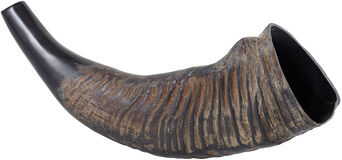 Thomann Water Buffalo Horn