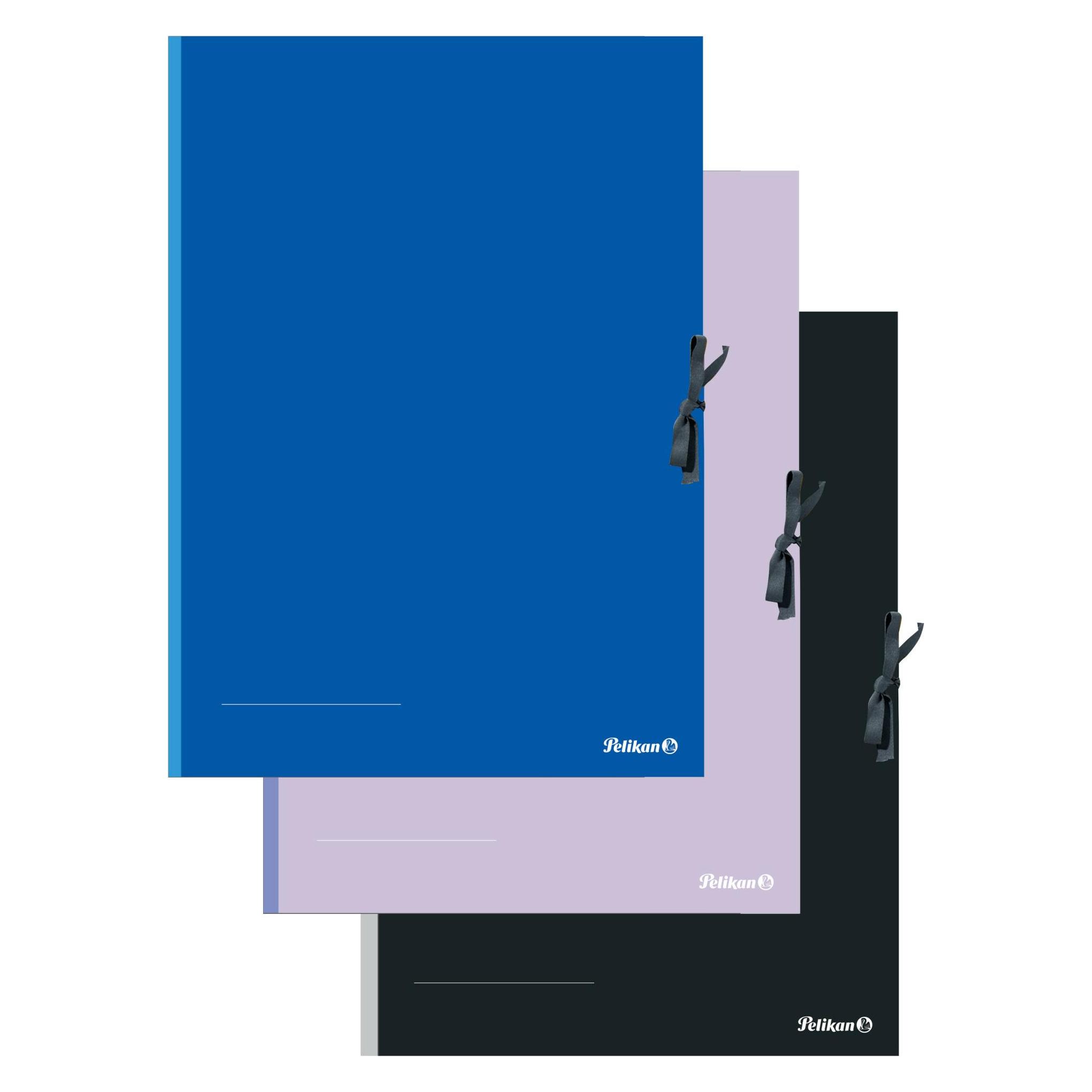 Pelikan Sammelmappe (A2, 1x) (276870)