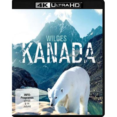 Wildes Kanada (4K Ultra HD), Blu-ray 4K