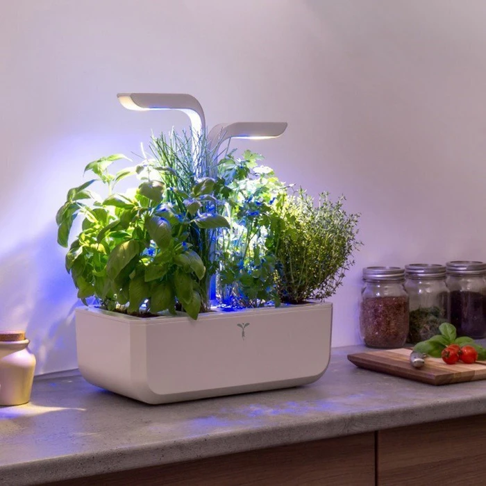 Véritable Classic Automatik-Blumentopf weiß + 4 Kräuternachfüllungen