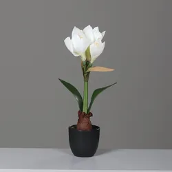 dpi Künstliche Amaryllis im schwarzen Kunststofftopf, Cream 39 cm
