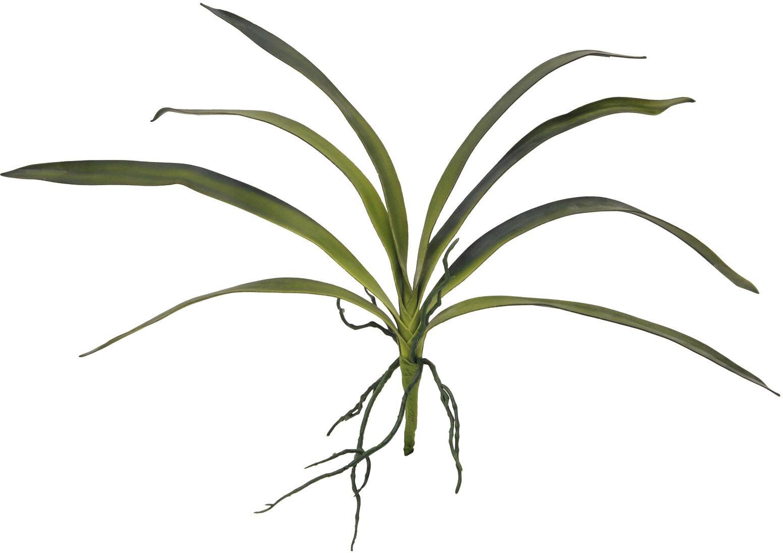 Europalms Orchideenblatt (Eva), Grün, 45cm