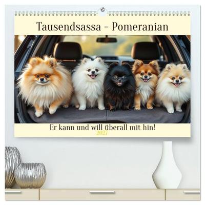 Tausendsassa - Pomeranian (hochwertiger Premium Wandkalender 2027 DIN A2 quer), Kunstdruck in Hochglanz