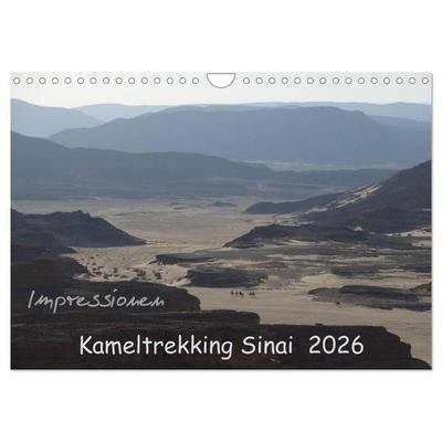 Impressionen Kameltrekking Sinai 2026 (Wandkalender 2026 DIN A4 quer), CALVENDO Monatskalender