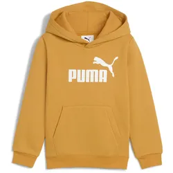 PUMA Essentials No. 1 Logo Fleece Hoodie Jungen 62 - archive gold 110