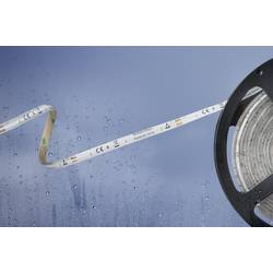 Barthelme 51540434 51540434 LED-Streifen mit offenem Kabelende 12 V 5 m Kaltweiß 1 St.