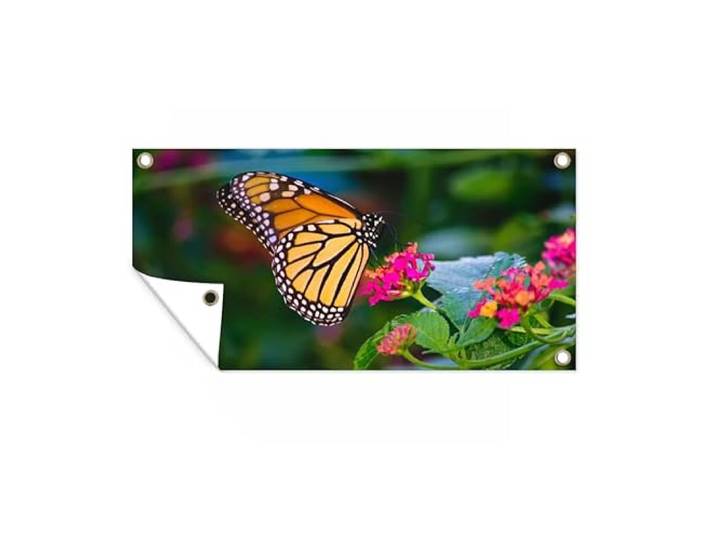 Tuinposter - 80x40 cm - Vlinders - Bloem - Natuur