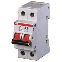 ABB 2CDE282001R1045 E202/45G Lasttrennschalter 2polig
