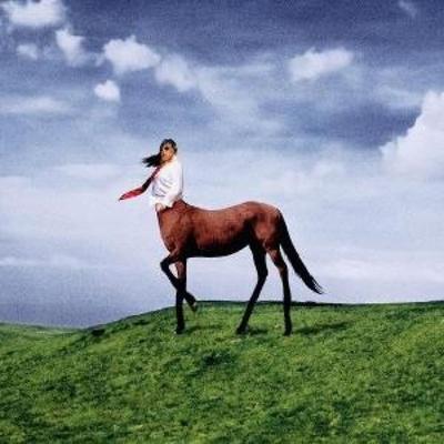Super Pedestrian - Annie DiRusso, CD