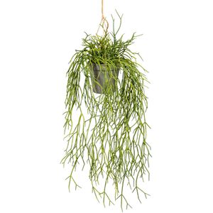Creativ-green Kunstpflanze Rhipsalishänger, im Topf, Höhe 60 cm
