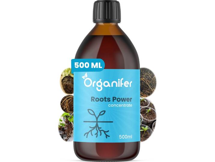 Wortelstimulator (500ml) Roots Power Concentraat - Stekmiddel - Betere en Snellere Wortelontwikkeling - Universeel - o.a. Voor Kweken en Stekken - Verplanten - Ontwikkelfase - Vergroot Voedingsstoffen Opname en Resultaat - Organifer