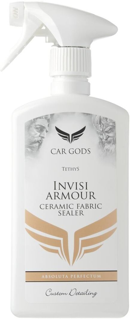 CAR GODS GOD146 Tekstiili / matto puhdistus